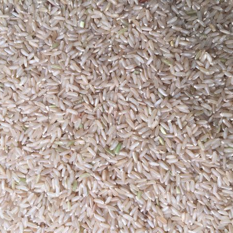 (25 Kg)🌾 Brown Rice – Siddha Sanna (ಸಿದ್ಧ ಸಣ್ಣ ಬ್ರೌನ್ ರೈಸ್)