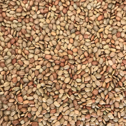 (2 Kg) Horse Gram – ಹುರಳಿಕಾಳು