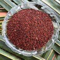 (5 Kg)🌾 Dodda Raagi (ದೊಡ್ಡ ರಾಗಿ – Large Finger Millet)